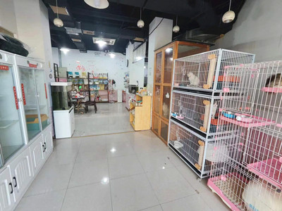 高新经营多年宠物店给钱就转（可空转）