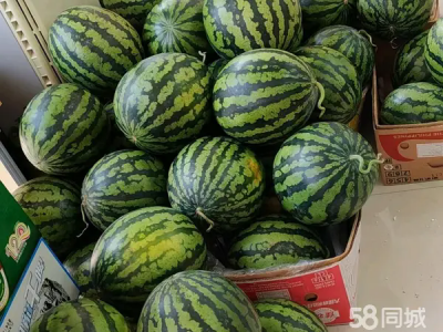 刚开业 家里有事急转