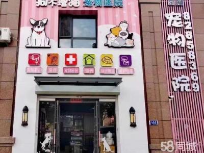 宠物店旺铺出兑一楼洗美货品寄养区 大连甘井子华南商铺租售