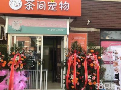 宠物店营业中生意转让 因个人身体原因