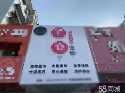 上下两层110平 营业中宠物店出兑