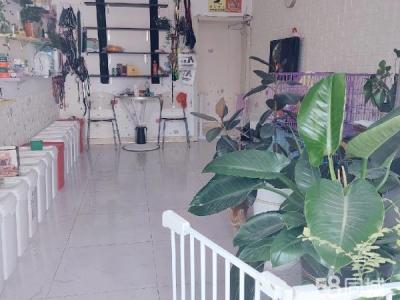 营业中宠物店 客源稳定 身体原因转让