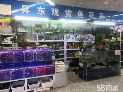 在临街市场内  市场比较综合 大连甘井子南关岭商铺租售