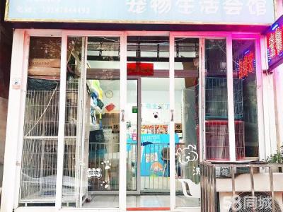 5年宠物店