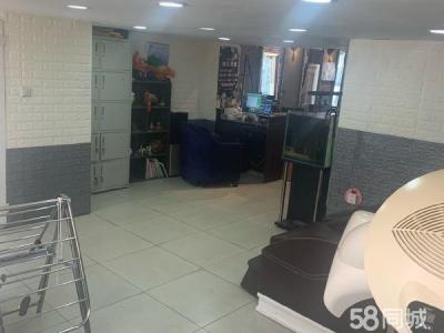 太原街夜市北门旺铺 主道临街门面房出租商业街店铺