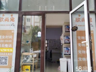 宠物店旺铺转让 经营3年设施齐全
