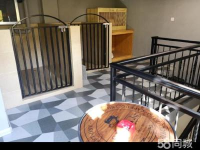 中海华庭临街商铺宠物店门头转