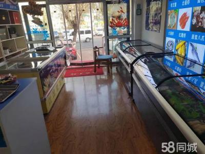 经营中商铺 海参 各种鲜冻海产！带货转让