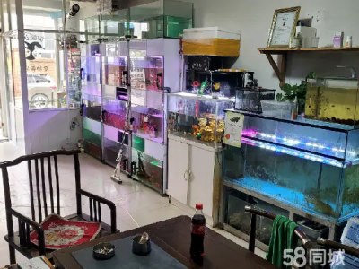 皮口镇宠物店儿整体转让 位置好客源多相中电联