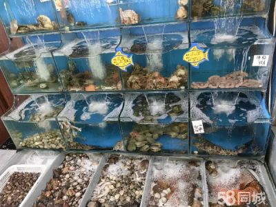 理工大学周边地理位置好