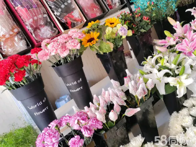 营业中鲜花店转让 非诚勿扰！急急急