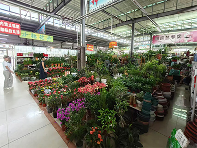 开发区金发地市场鲜花摆件摊位转让