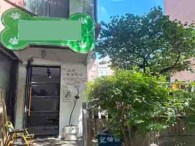 5.3万转让！黄河路主道旁经营8年宠物店